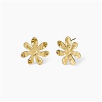 Earrings Kidult Woman Style in Steel 861042 - 861042